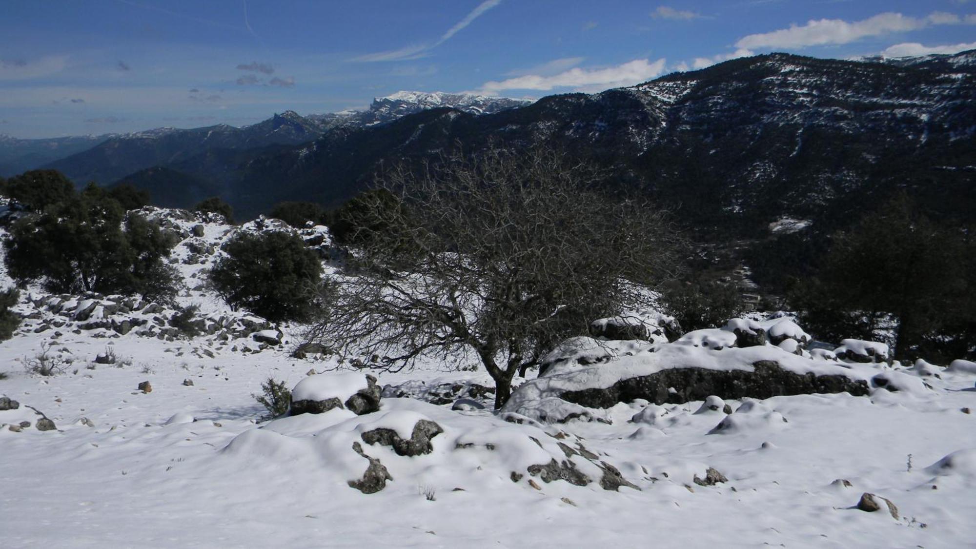 Casa Rural Fuente Zagrilla Eksteriør bilde